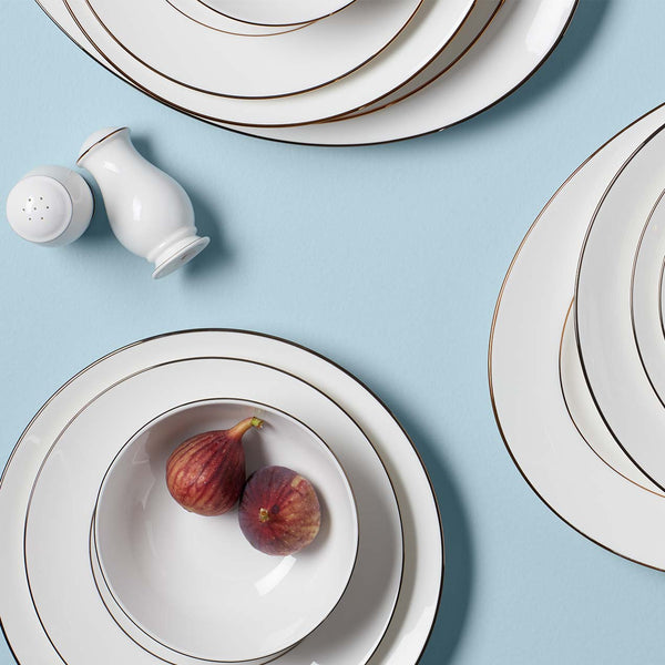 Continental Dining Dinnerware and salt & pepper shaker.