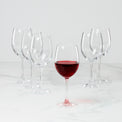 5 O'Clock All-Purpose Wine Glasses, Set of 4