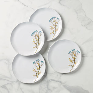 Everyday Dinner Plates