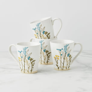 Glassware & Drinkware