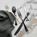 James Street Black Satin 20-Piece Flatware Set