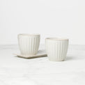French Perle Scallop White 3-Piece Herb Pot Set