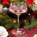 Tuscany Classics Angled Coupe Glasses, Set of 6