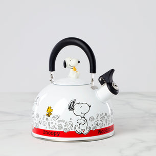 Peanuts & Snoopy