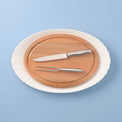 Harvest Turkey Platter and Carving Set of 4