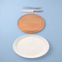 Harvest Turkey Platter and Carving Set of 4