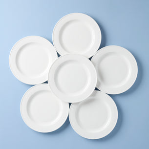 Everyday Dinner Plates