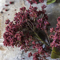 Artificial Butterfly Bush Stem, Rouge
