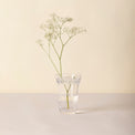 Kobenhavner Small Clear Glass Vase
