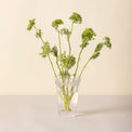 Kobenhavner Small Clear Glass Vase