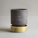 Hoff Raw Grey & Glazed Pale Yellow 14cm Pot with Saucer