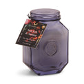 Botanica Sea Salt & Amber 8oz Candle