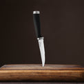 Epicure Black Steak Knives, Set of 4
