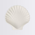 Bamboo Natural Shell Plates, Set of 6