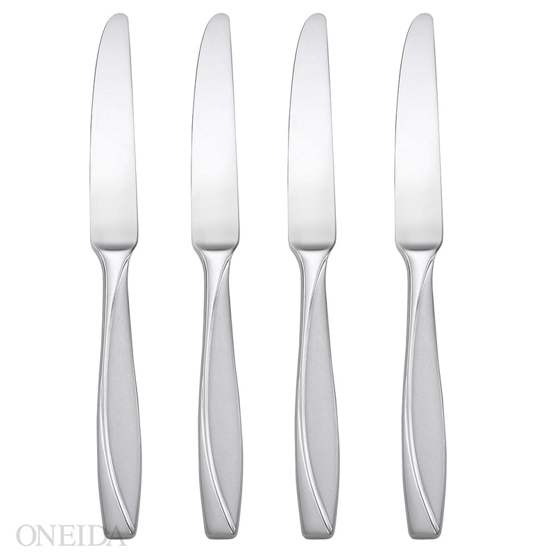 Camlynn Satin Dinner Knives, Set of 4