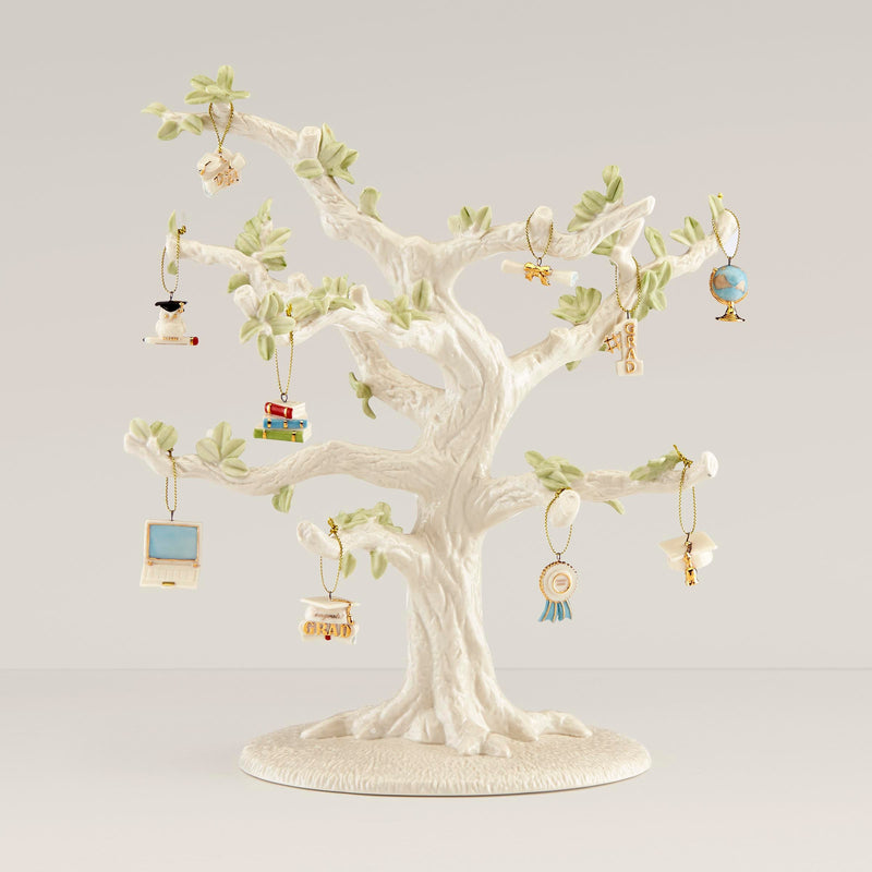 Graduation 10-Piece Mini Ornament Set