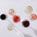 Tuscany Signature Series Warm Region Wine Glasses, Set of 4